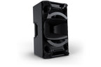 LD_Systems_ICOA_PRO_12_A_10.jpeg