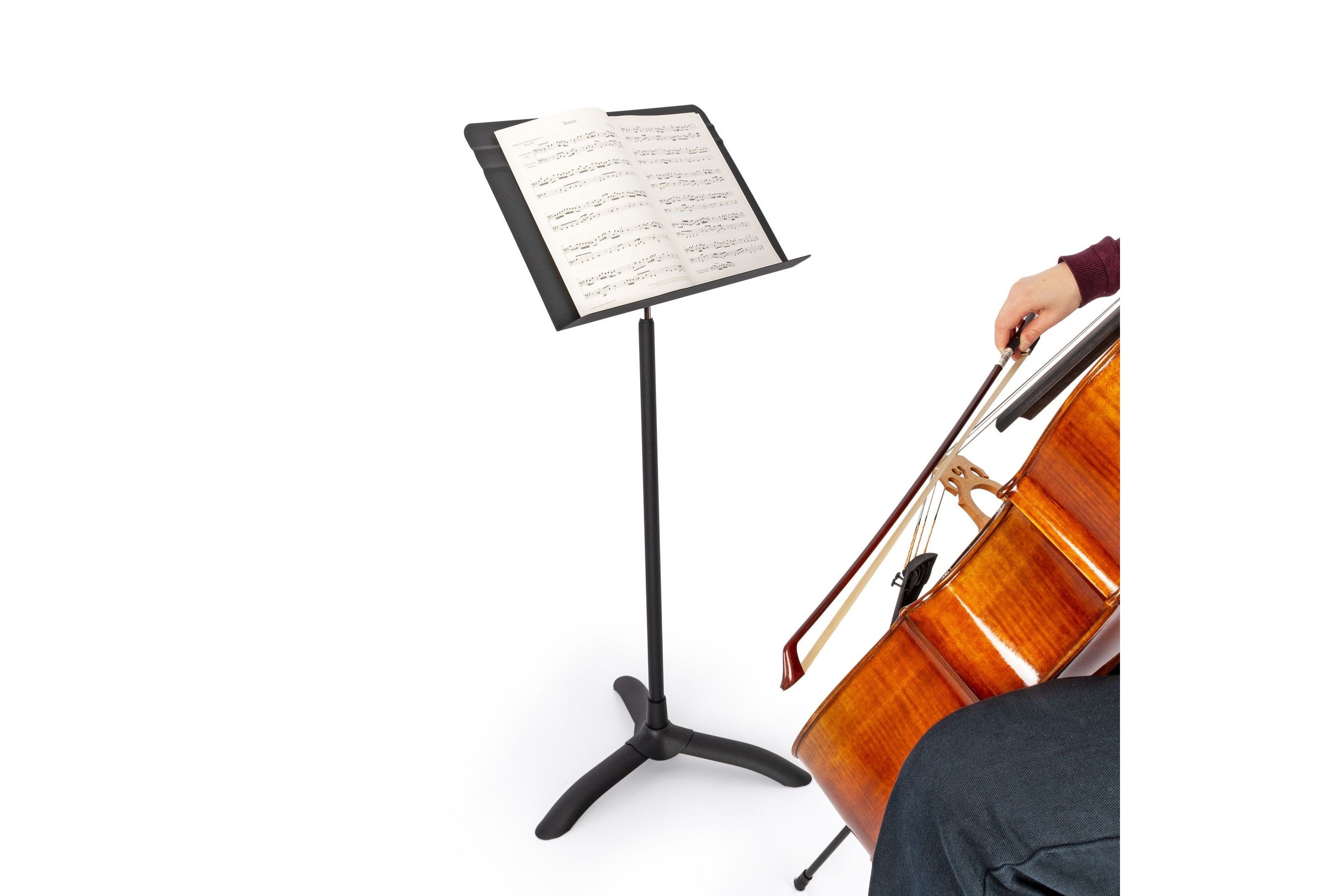 Manhasset_4801_Symphony_stojan_ern_6.jpeg