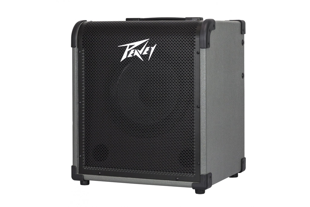 PEAVEY_MAX_100_5.jpeg