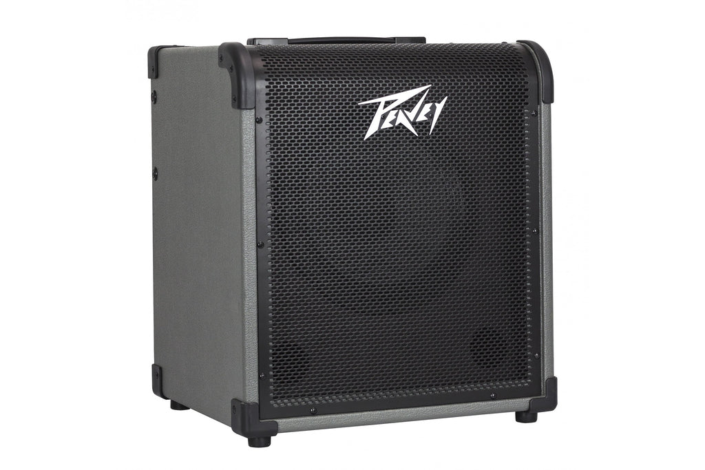 PEAVEY_MAX_100_6.jpeg