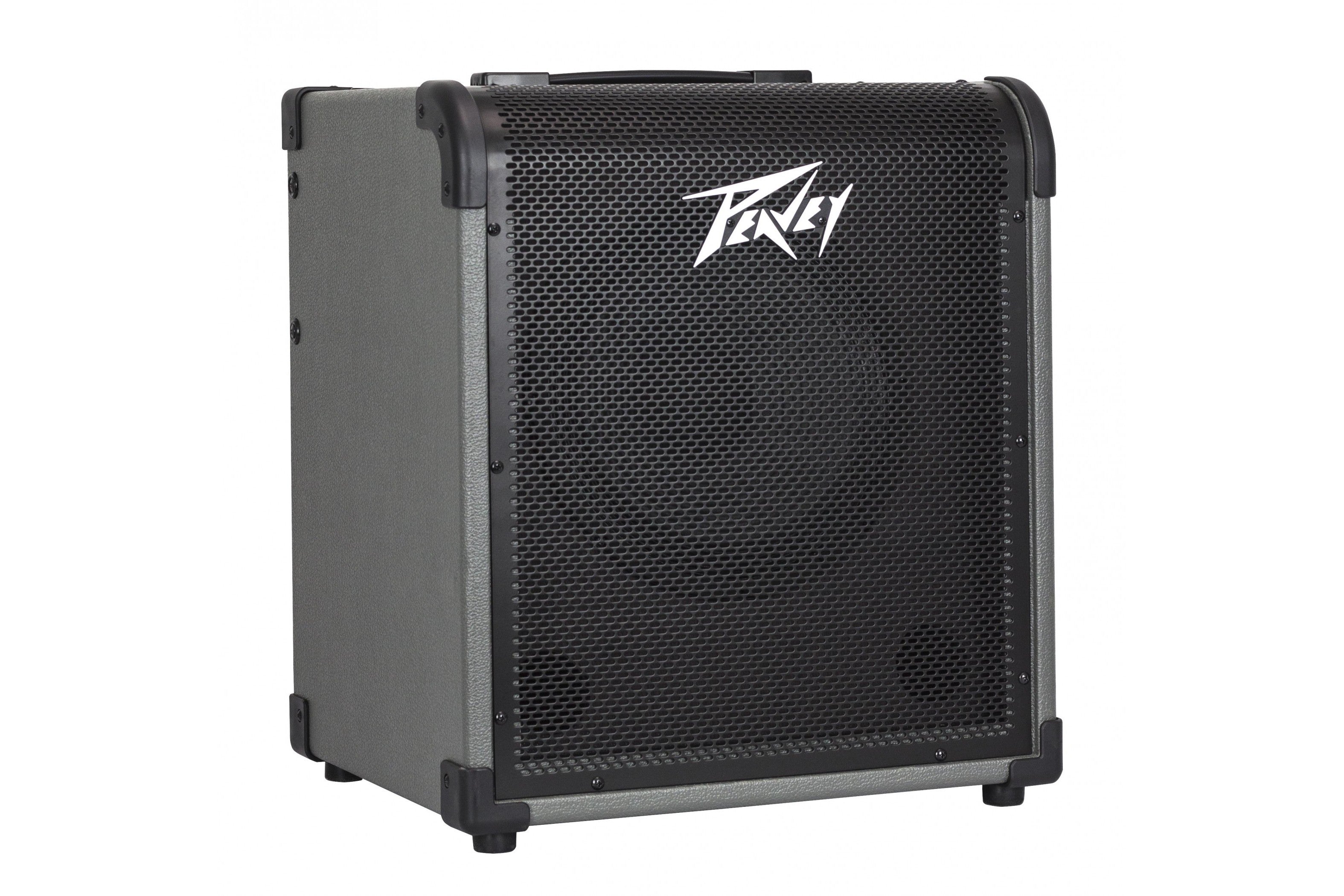 PEAVEY_MAX_100_6.jpeg