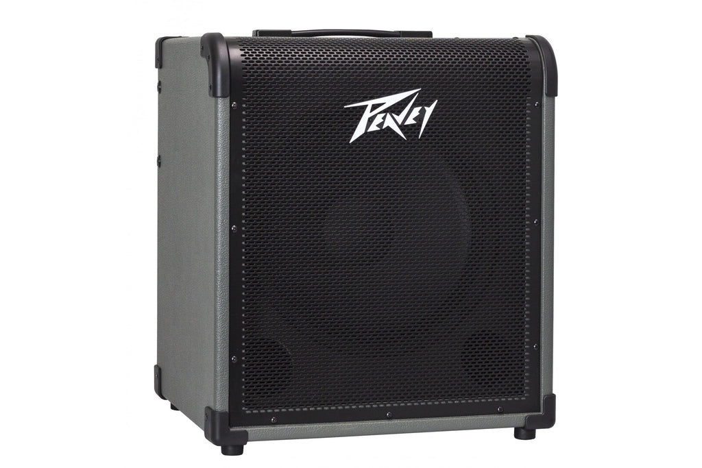 PEAVEY_MAX_150_6.jpeg