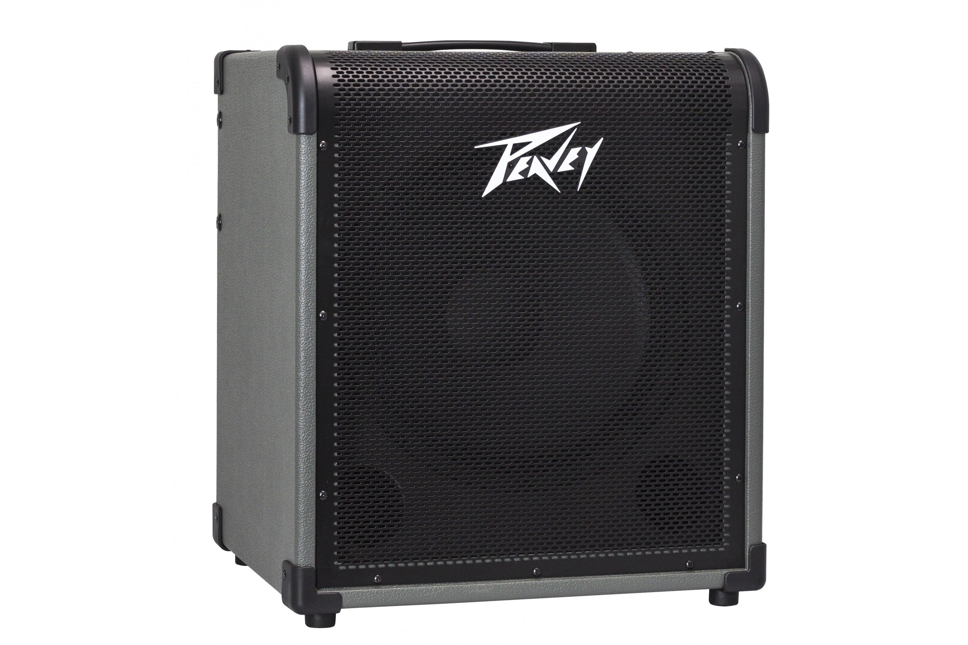 PEAVEY_MAX_150_6.jpeg