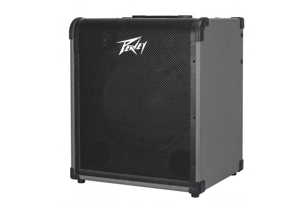 PEAVEY_MAX_250_5.jpeg