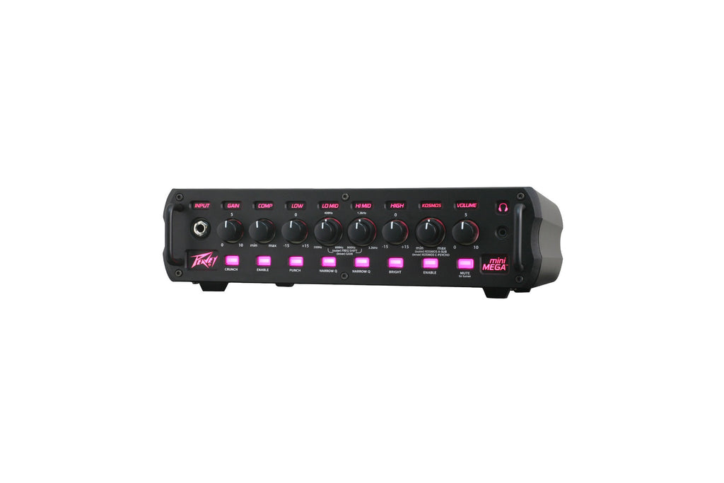 Peavey_MiniMEGA_1000_4.jpeg