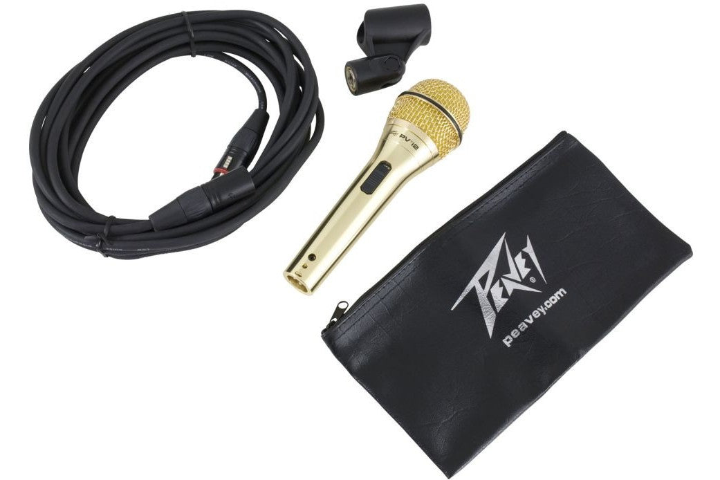 Peavey_PVi_2G_XLR_2.jpeg