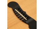 Planet_Waves_PWPS1_3.png