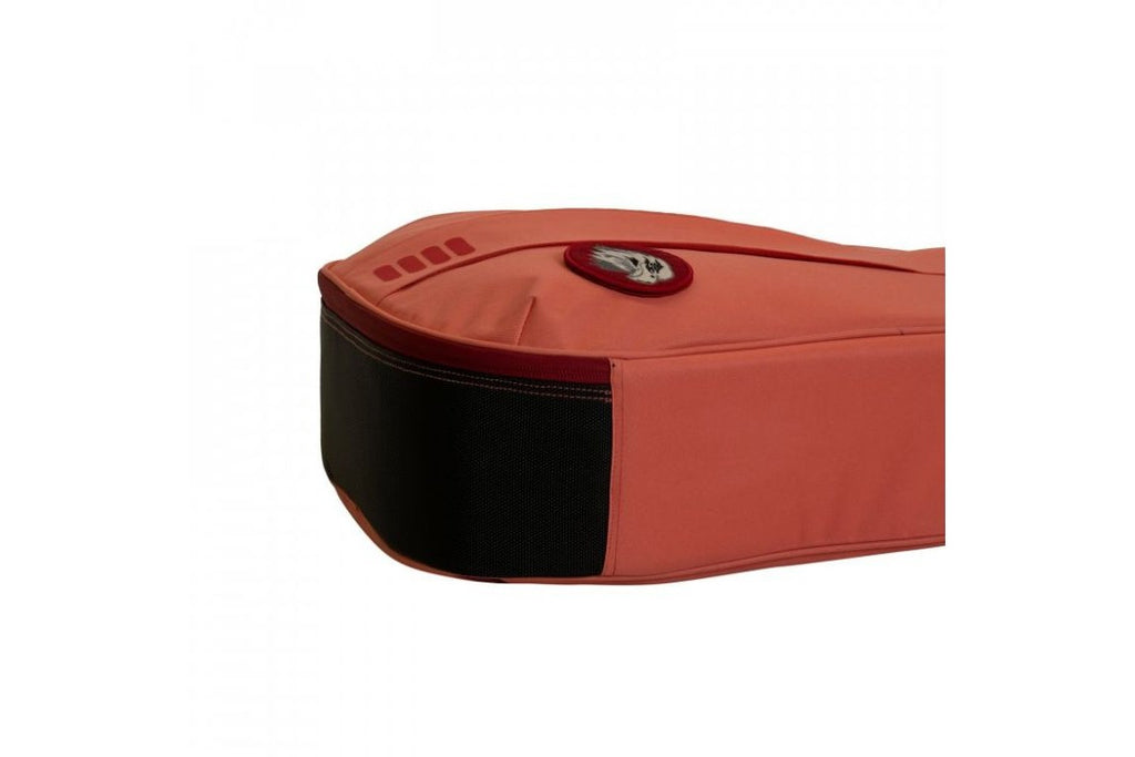 Ritter_RGB4_C_FRO_4.jpeg