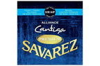 Savarez_510AJP_1.jpeg