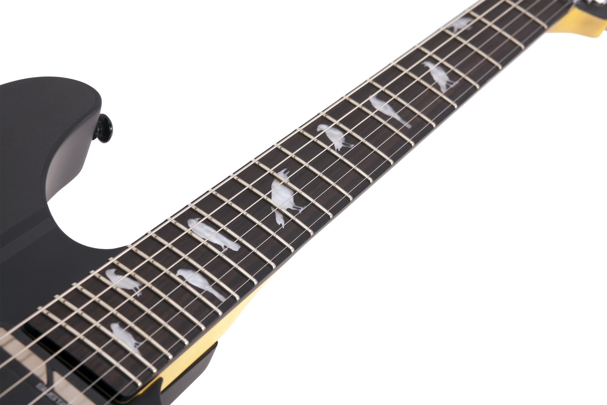 Schecter_270_DJ_ASHBA_CBG_7.jpeg