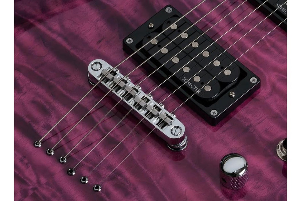 Schecter_445_C_6_PLUS_EM_2.jpeg