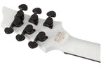 Schecter_C_1_Ink_Bomb_13.jpeg