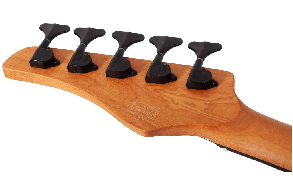 Schecter_C_5_Standard_Tobacco_Burl_2.jpeg