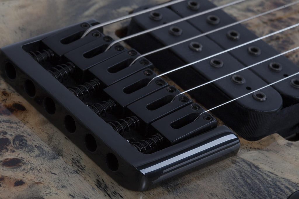 Schecter_C_6_PRO_CB_7.jpeg