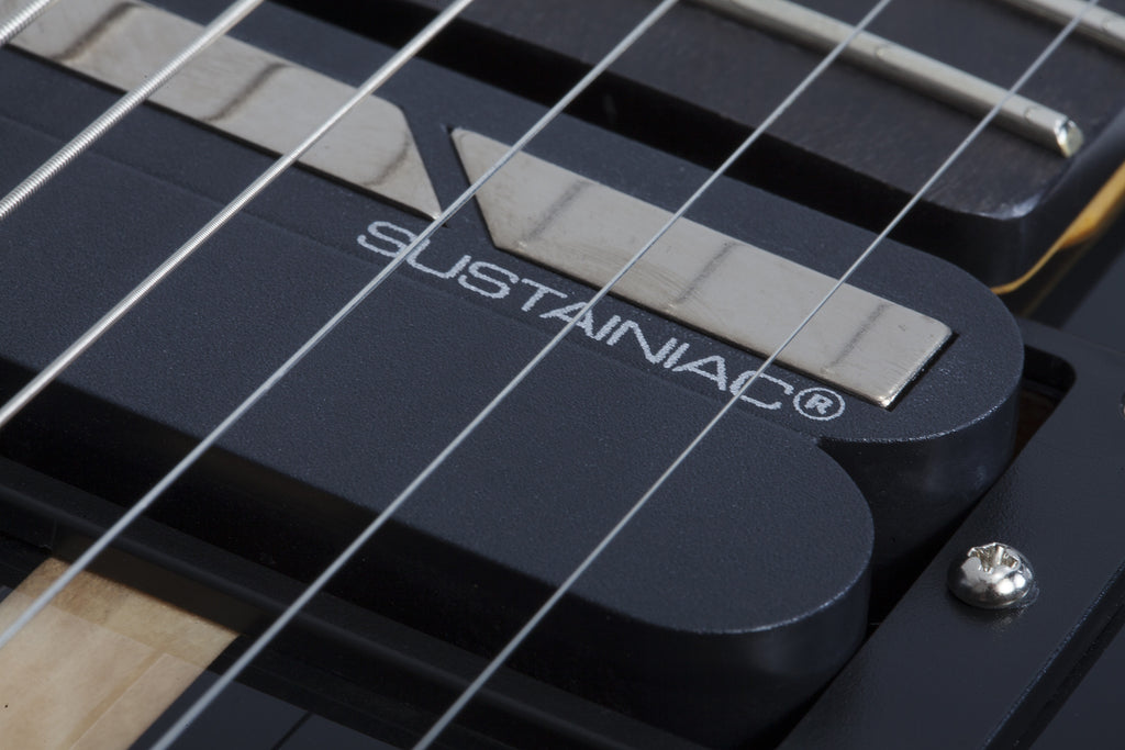 Schecter_DJ_Ashba_Natural_Black_Burst_11.jpeg