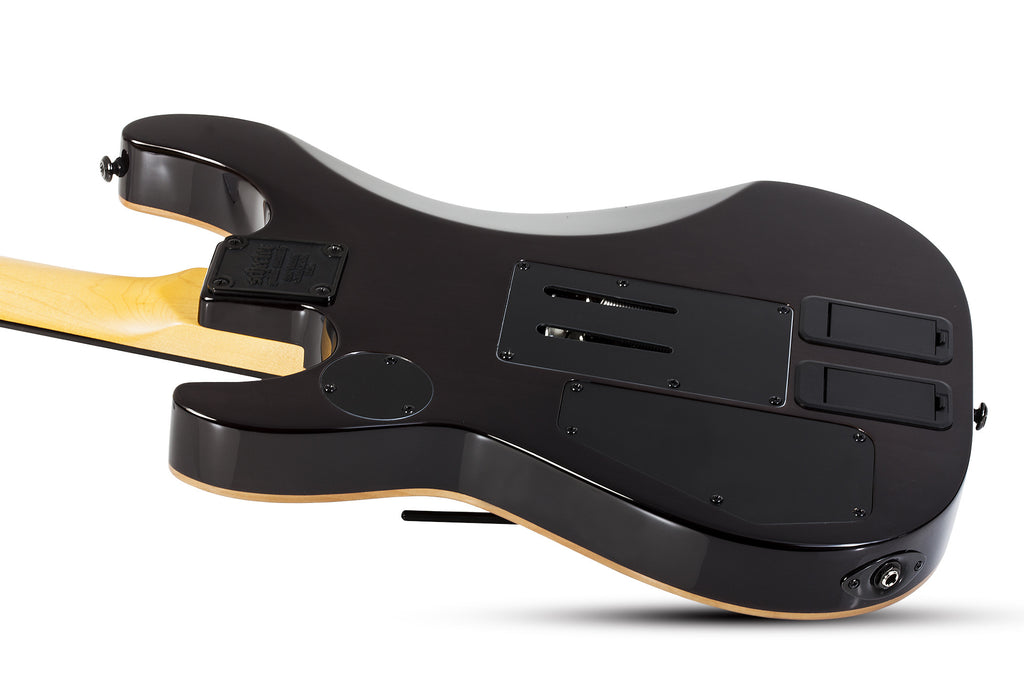 Schecter_DJ_Ashba_Natural_Black_Burst_6.jpeg