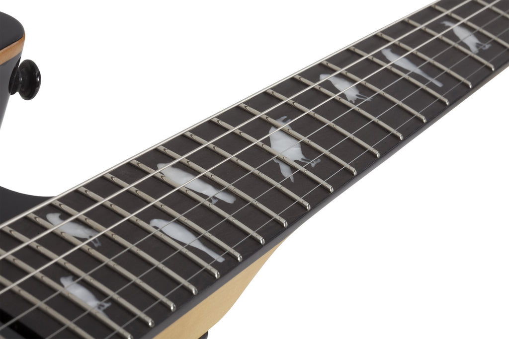 Schecter_DJ_Ashba_Natural_Black_Burst_9.jpeg