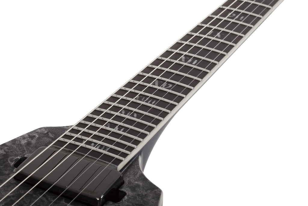 Schecter_Juan_of_the_Dead_V_1_Satin_Black_Reign_11.jpeg