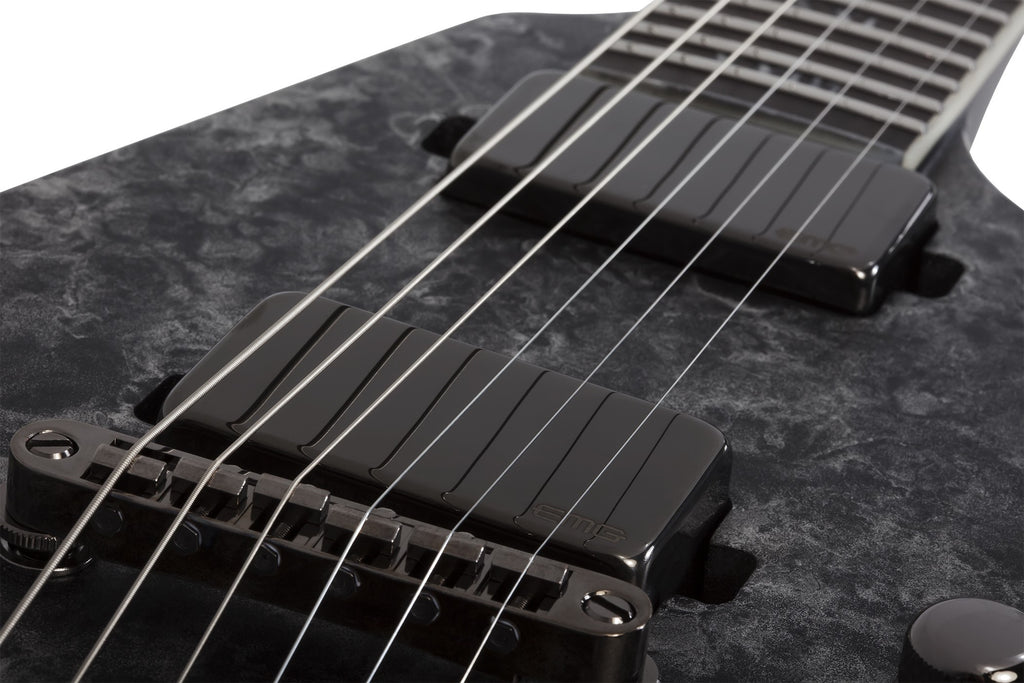 Schecter_Juan_of_the_Dead_V_1_Satin_Black_Reign_4.jpeg