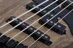 Schecter_Model_T_5_Exotic_Natural_Satin_9.jpeg