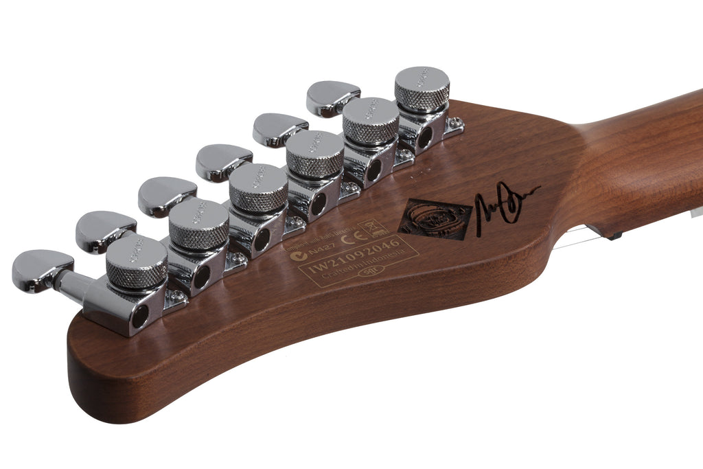 Schecter_Nick_Johnston_PT_Atomic_Ink_12.jpeg