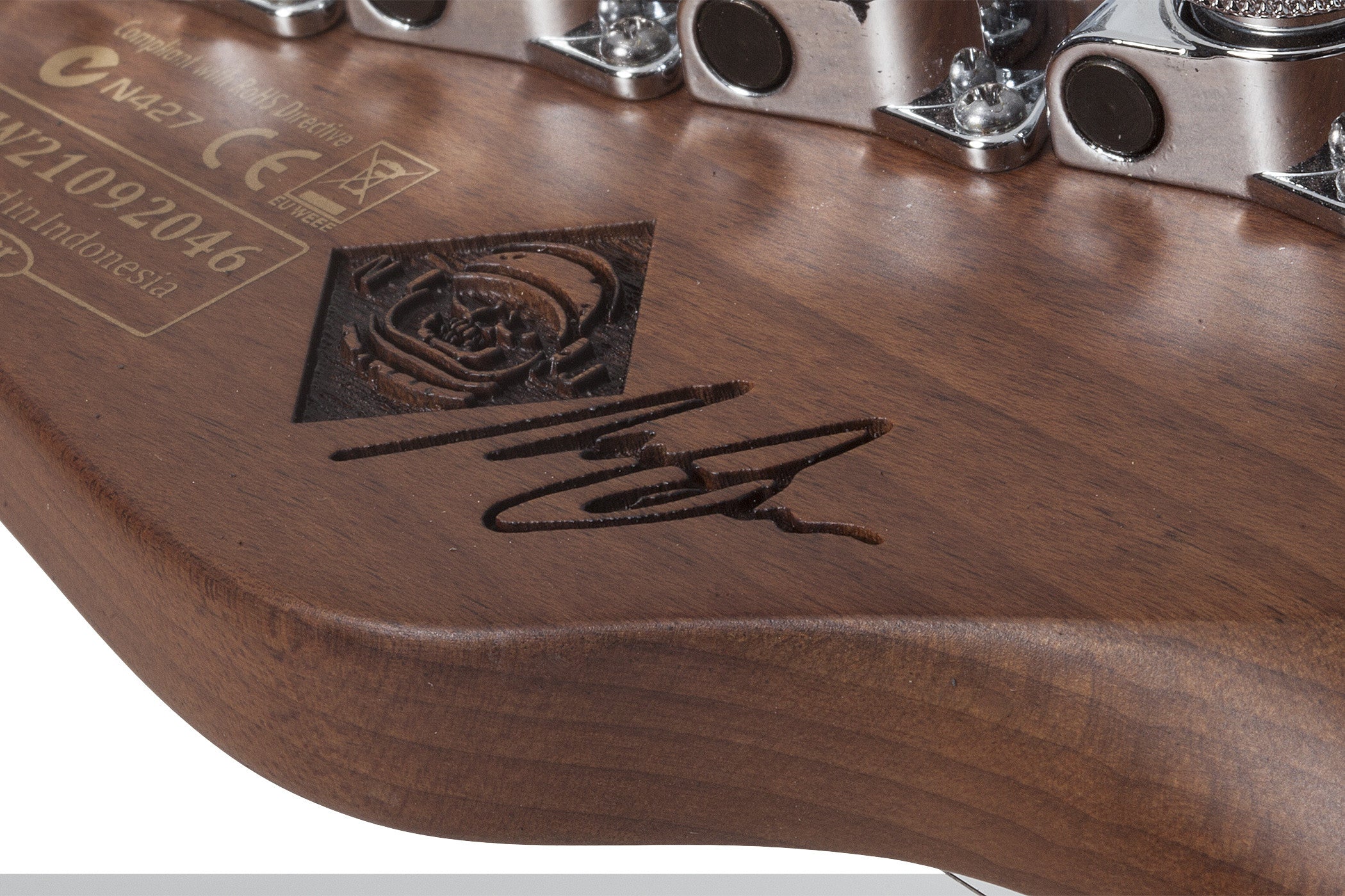 Schecter_Nick_Johnston_PT_Atomic_Ink_13.jpeg