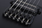 Schecter_PT_Black_Ops_Satin_Black_Open_Pore_10.jpeg