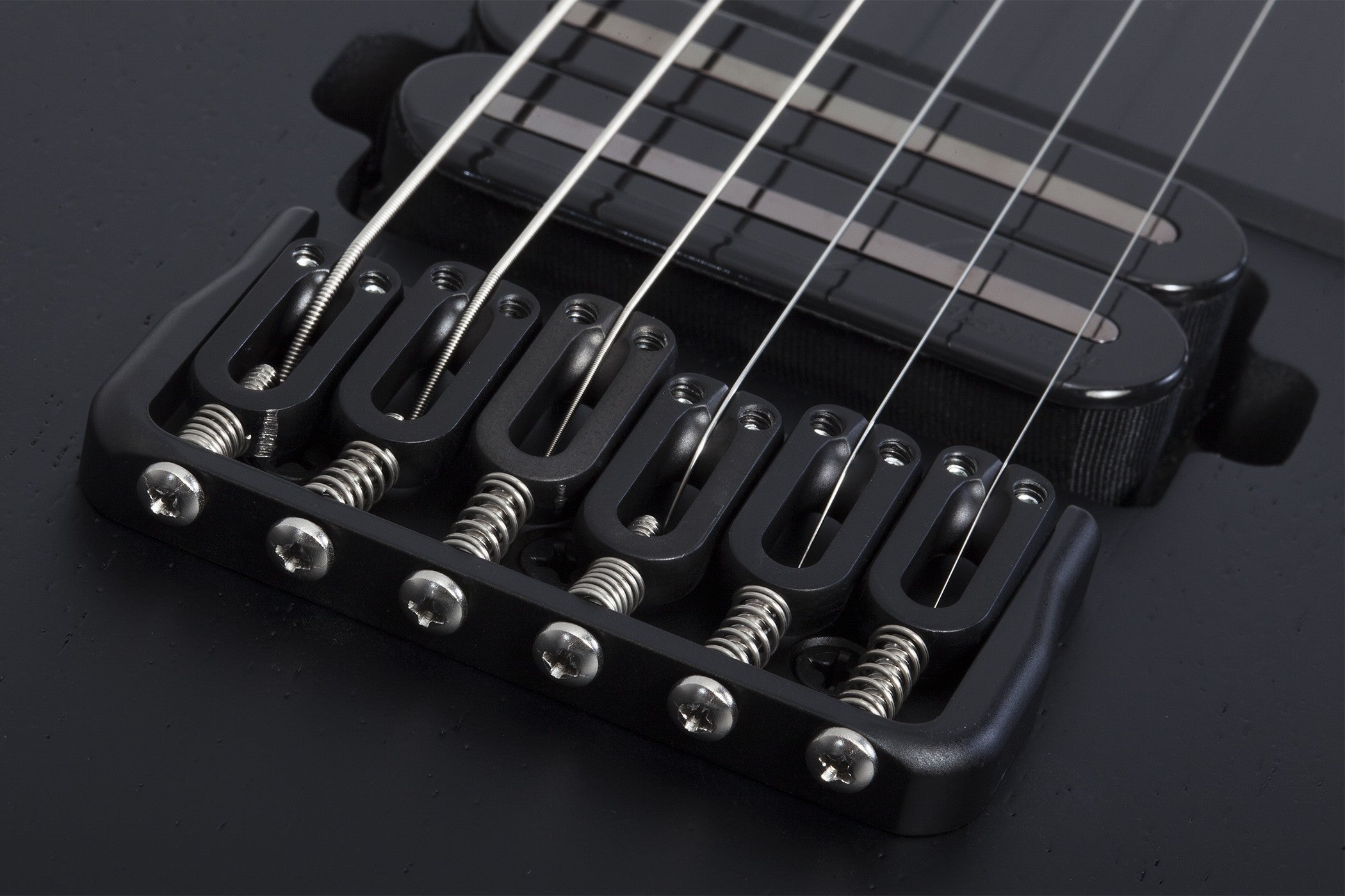 Schecter_PT_Black_Ops_Satin_Black_Open_Pore_10.jpeg