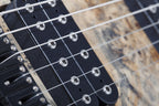 Schecter_REAPER_6_CB_8.jpeg