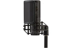 Shure_KSM32C_SM_6.jpeg