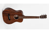 Sigma_Guitars_TM_15_1.jpeg