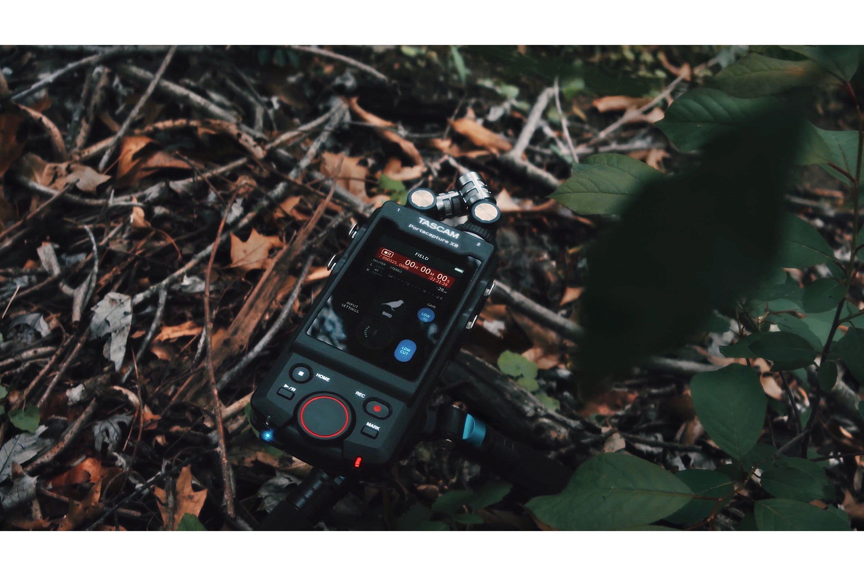 Tascam_Portacapture_X8_20.jpeg