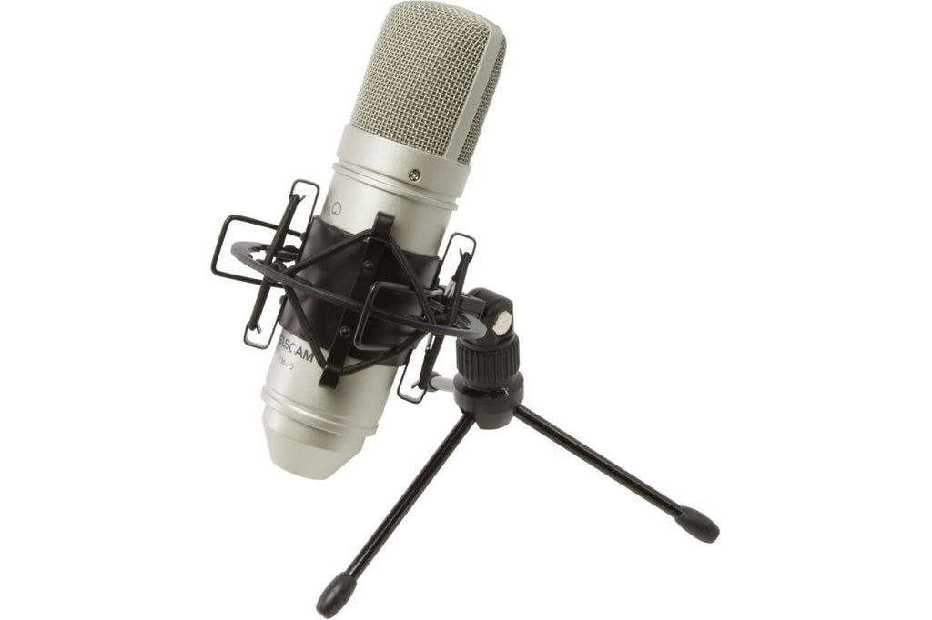 Tascam_TM_80_1.jpeg