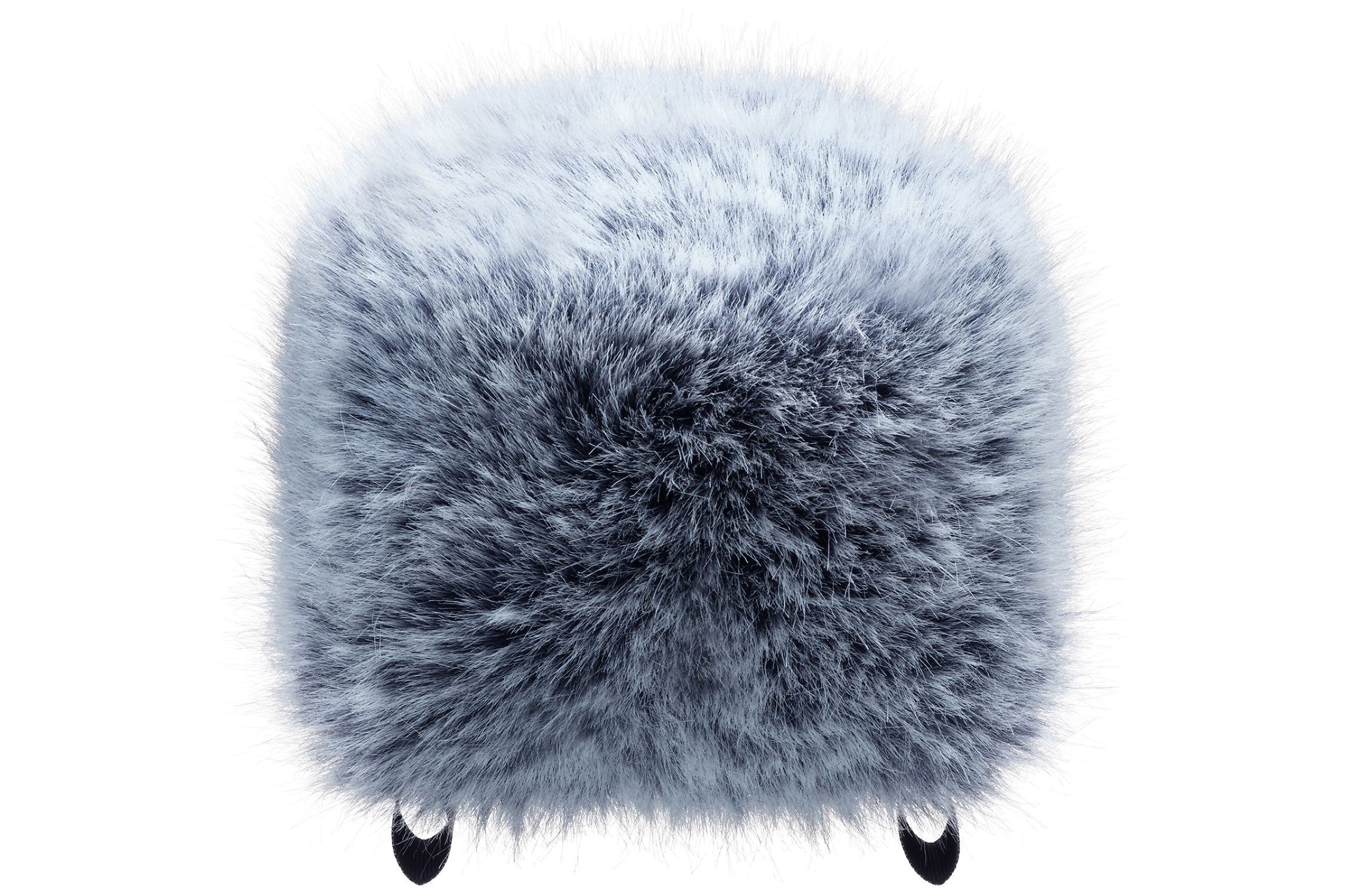 Tascam_WS_86_1.jpeg