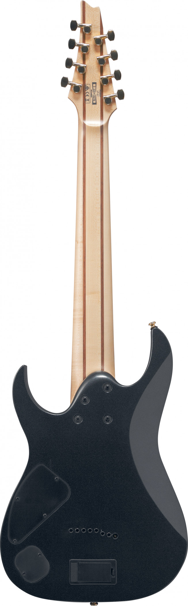 Galerijní obrázek č.1 8strunné a další IBANEZ RG80F-IPT RG Standard - Iron Pewter