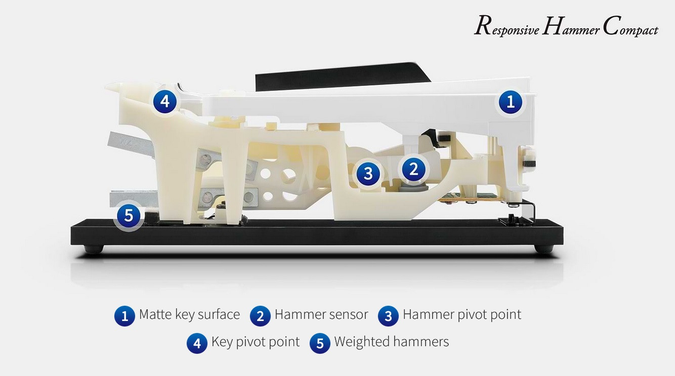 Galerijní obrázek č.8 Klávesy KAWAI KDP75 B - Embossed Black