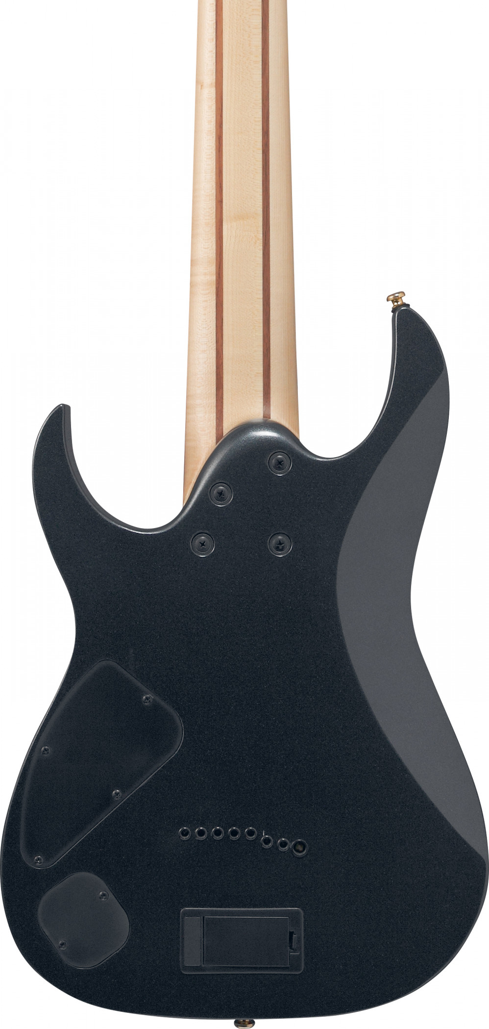 Galerijní obrázek č.4 8strunné a další IBANEZ RG80F-IPT RG Standard - Iron Pewter