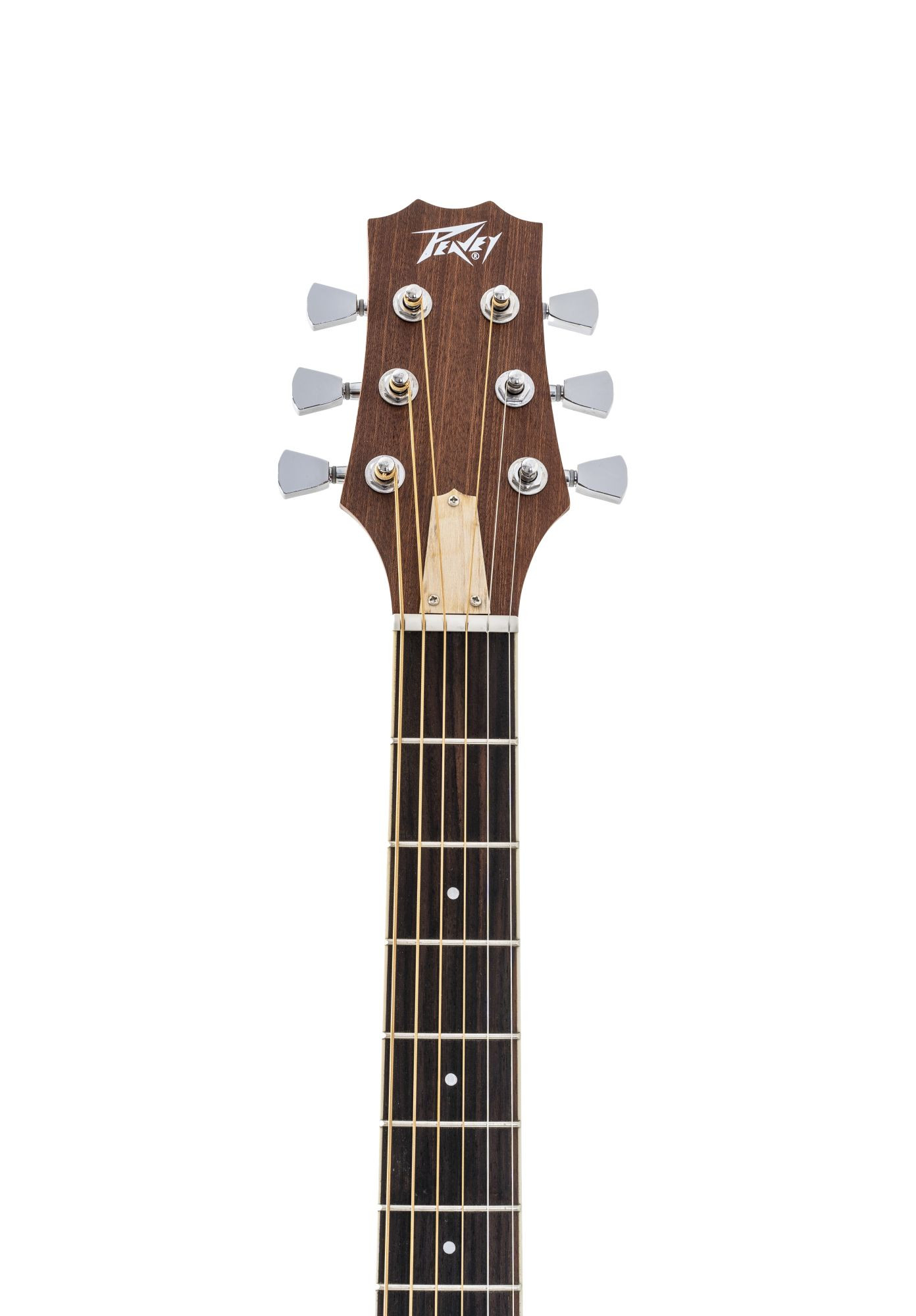 Galerijní obrázek č.10 Akustické kytary a ostatní PEAVEY Delta Woods DW-2 with Case - Natural