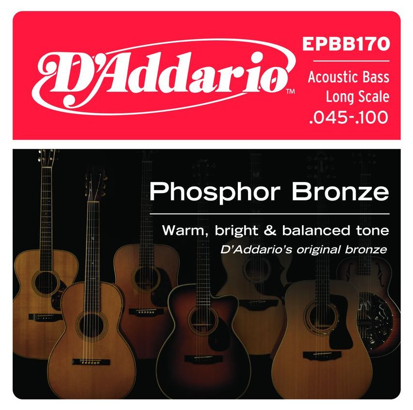 Hlavní obrázek Pro akustickou baskytaru D'ADDARIO EPBB170 Phosphor Bronze Regular Light - .045 - .100