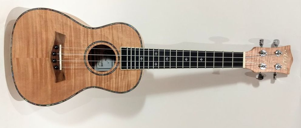 Hlavní obrázek Koncertní AIERSI SU504N Concert Ukulele