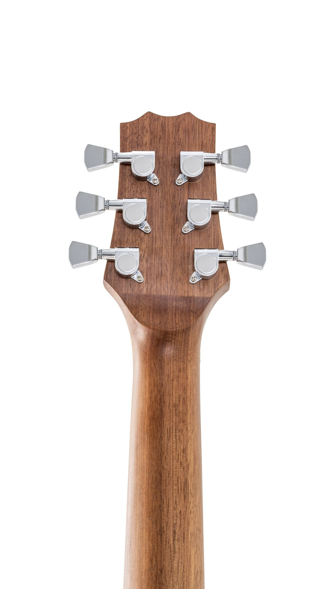 Galerijní obrázek č.12 Akustické kytary a ostatní PEAVEY Delta Woods DW-2 with Case - Natural