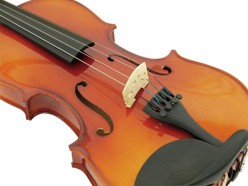 Galerijní obrázek č.1 Housle DIMAVERY Violin 4/4 With Bow In Case