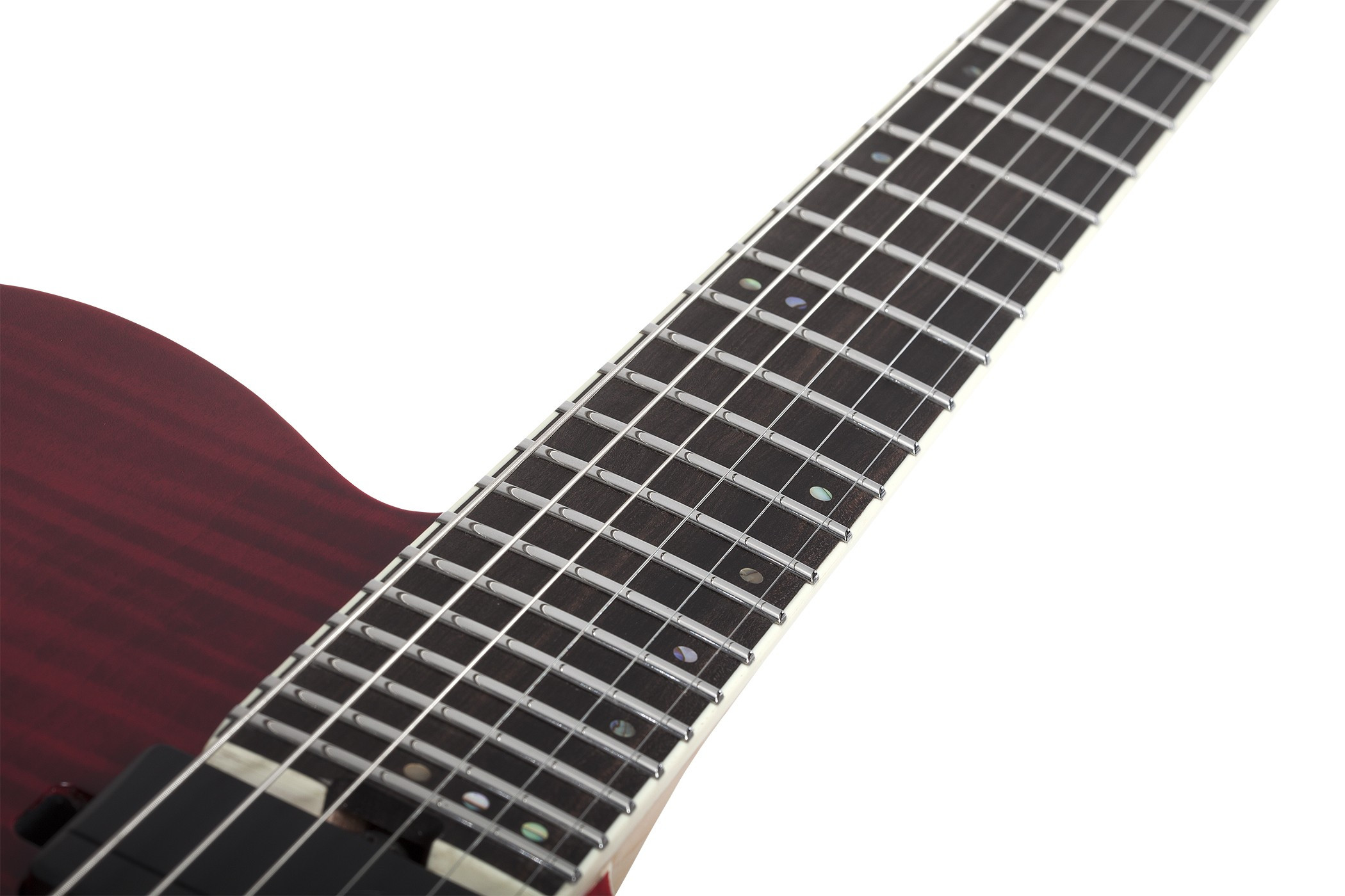 Galerijní obrázek č.10 T - modely SCHECTER PT SLS Elite - Blood Burst
