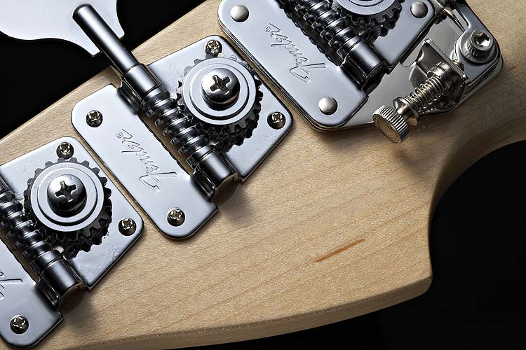 Galerijní obrázek č.2 PB modely FENDER Tony Franklin Fretless Precision Bass®, Ebony Fingerboard, Black