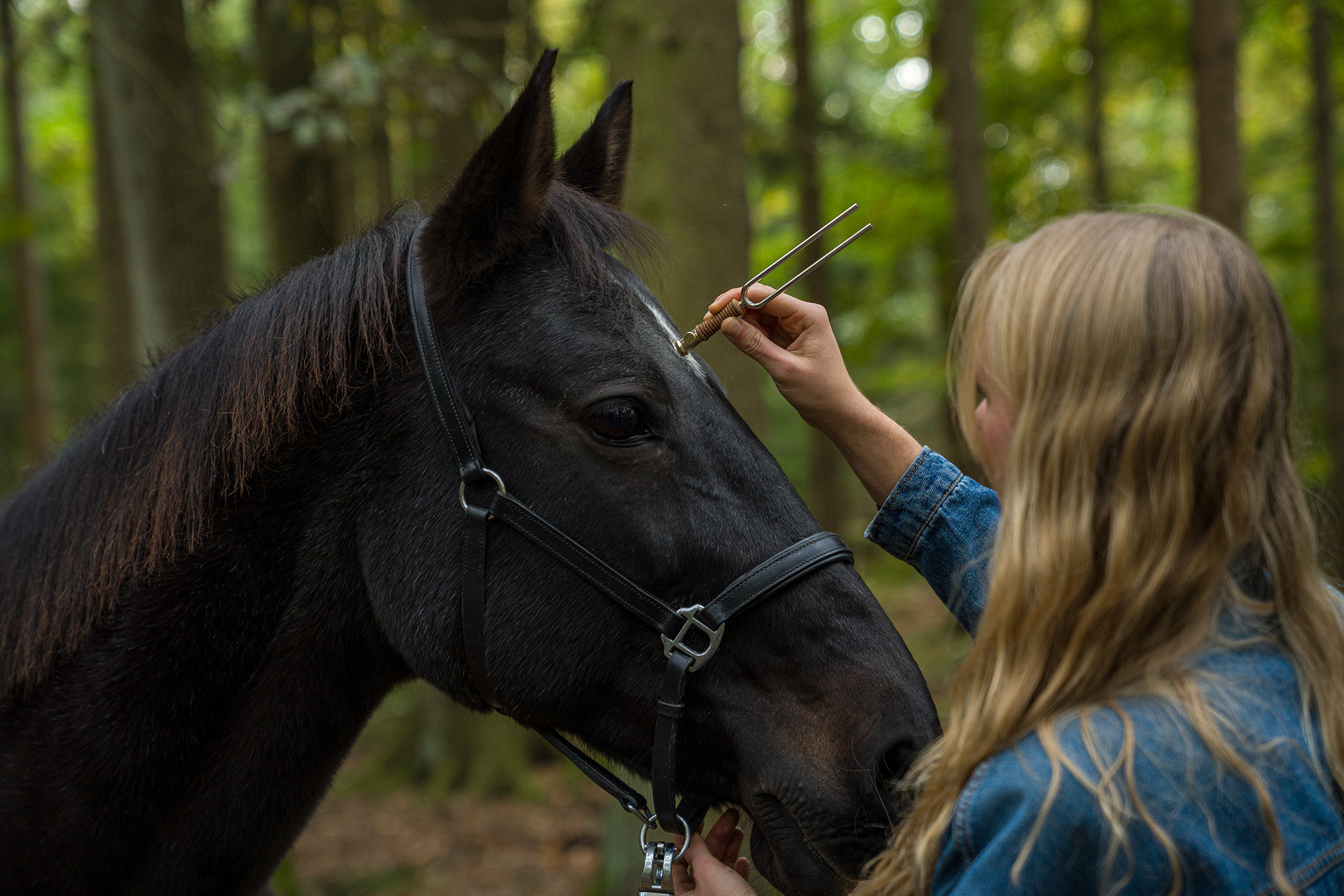 Galerijní obrázek č.3 Ladičky MEINL Sonic Energy VF-FS Tuning Fork Vibration Foot Small Flat - Gold