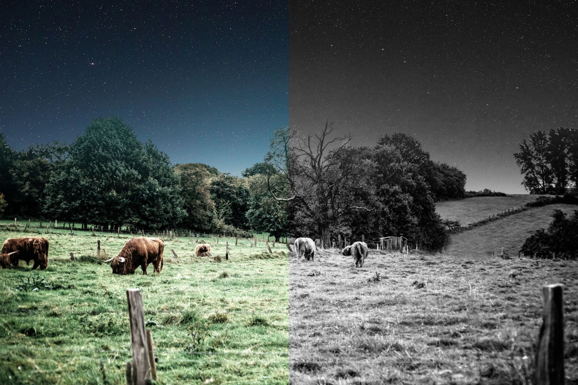 Galerijní obrázek č.11 Zabezpečení ANKER Eufy 4G LTE Camera S330