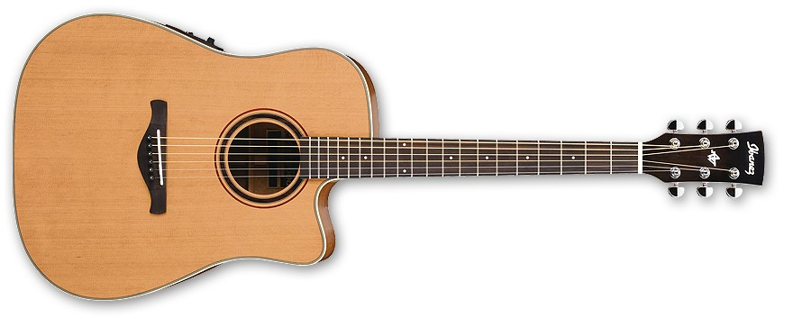 Hlavní obrázek Dreadnought IBANEZ AW 250 ECE LG