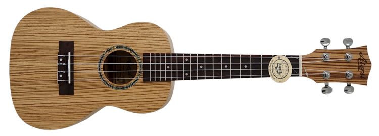 Hlavní obrázek Koncertní AIERSI SU044B Zebrano Concert Ukulele Open Pore Natural