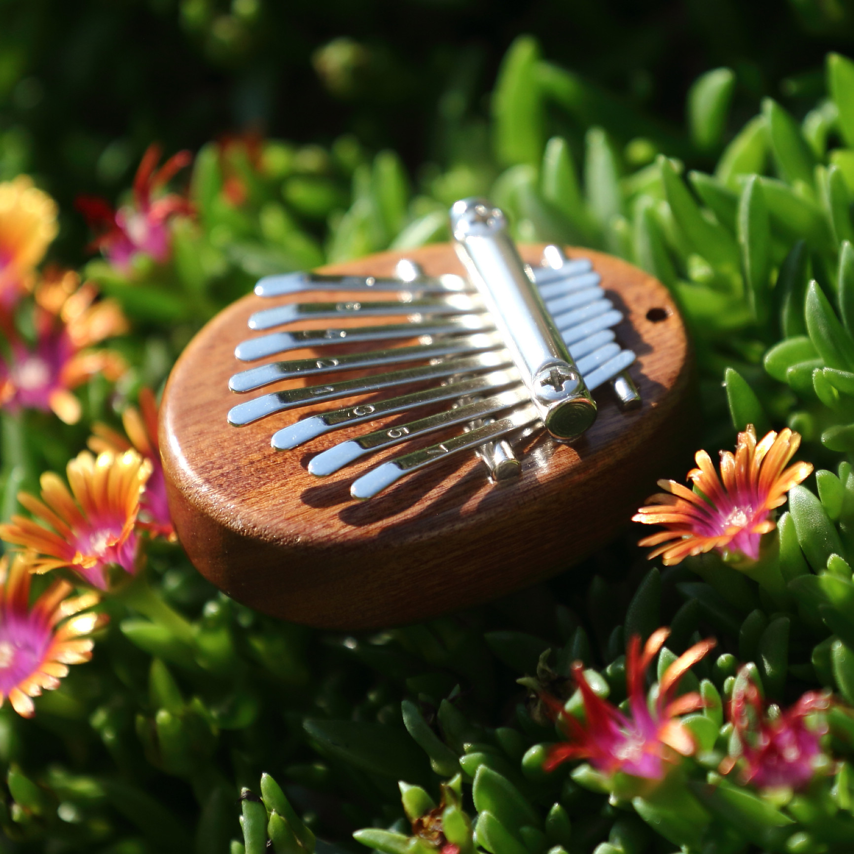 Galerijní obrázek č.2 Perkuse WOODMAN WMK01 Wooden Mini Kalimba