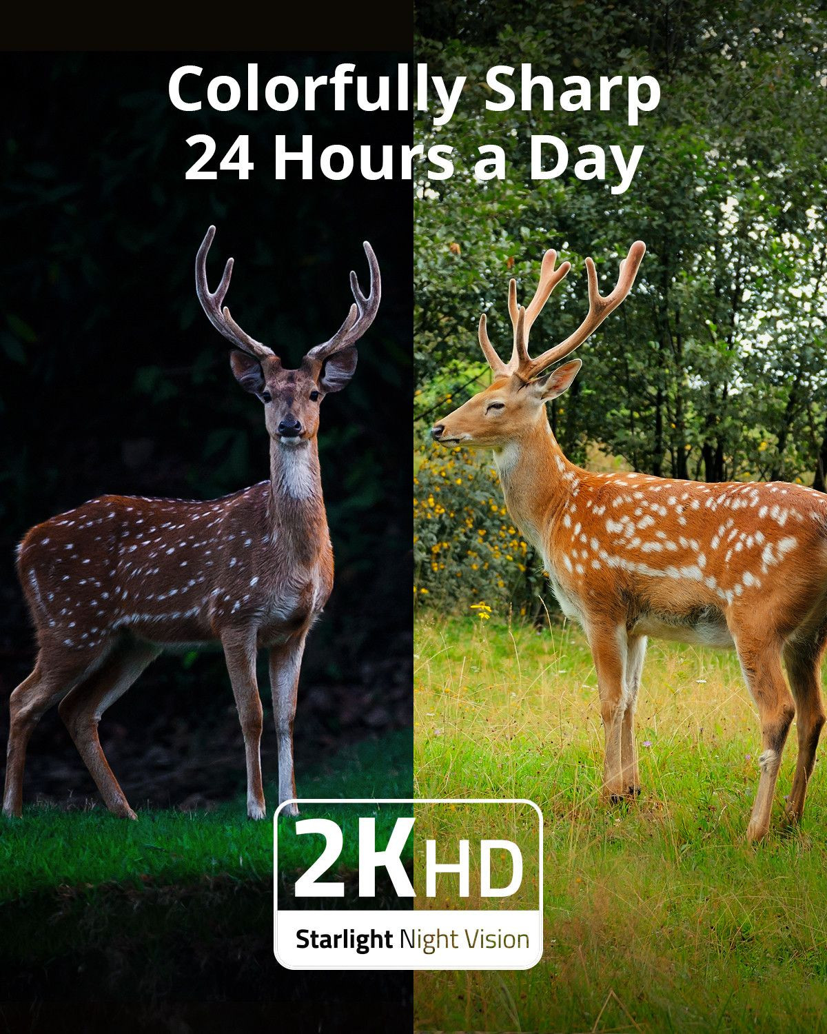 Galerijní obrázek č.5 Zabezpečení ANKER Eufy 4G Starlight Camera